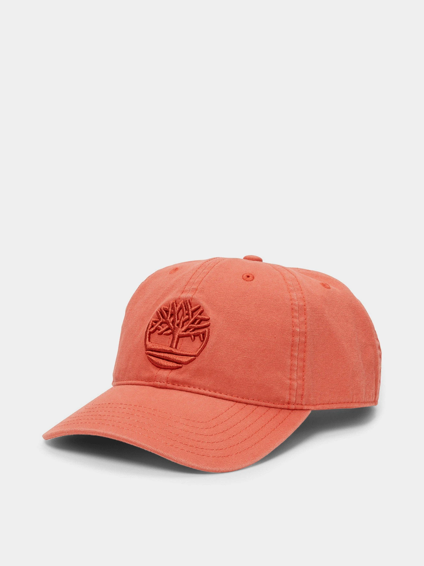 Шапки и кепки Timberland Soundview Cotton Baseball модель TB0A1E9MW78 Шапки и кепки Timberland Soundview Cotton Baseball модель TB0A1E9MW78 Фото
