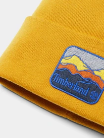 Шапки и кепки Timberland Mountain Patch модель TB0A2PNJEFM Фото