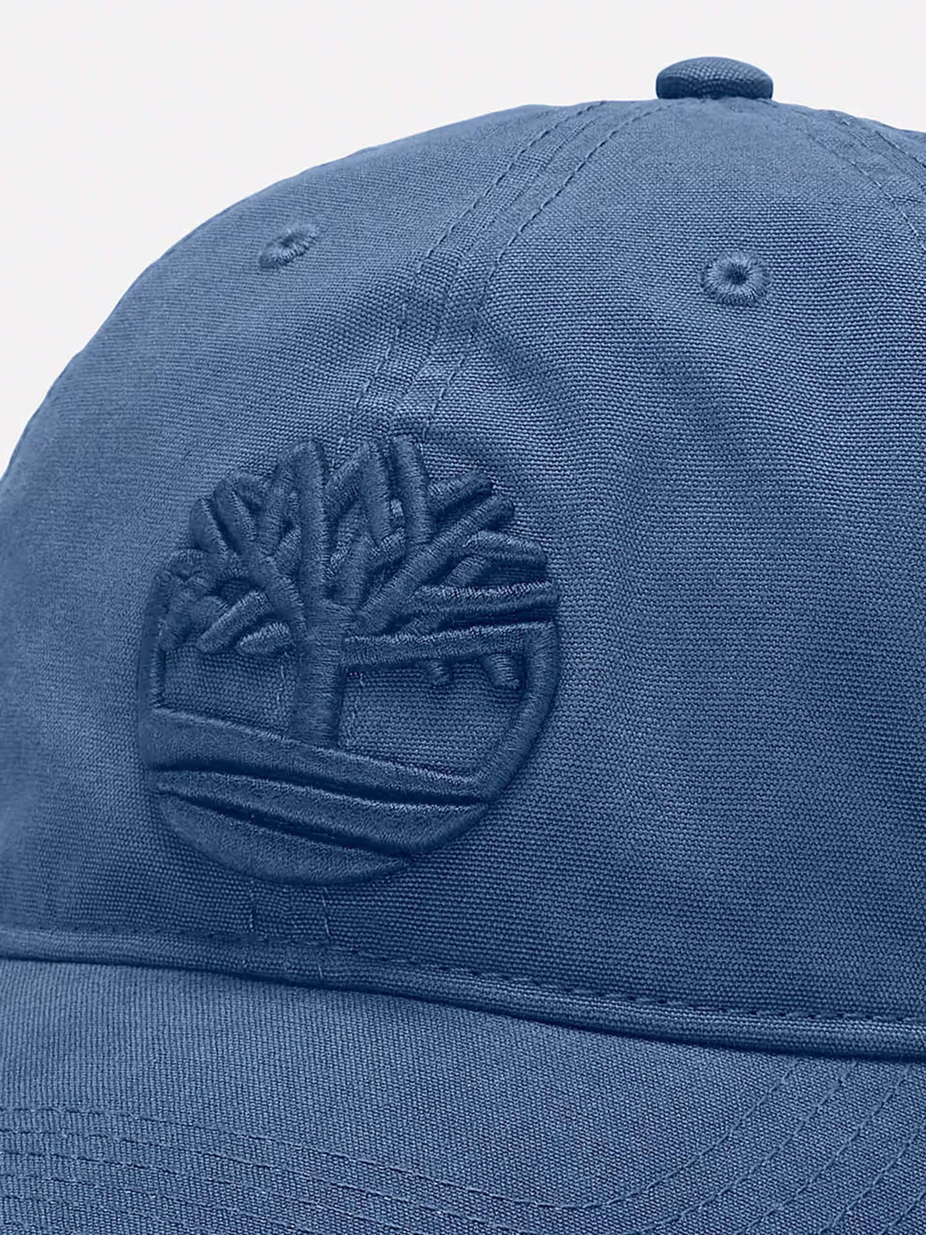 Шапки и кепки Timberland Soundview Cotton Canvas Baseball модель TB0A61UJ288 Фото
