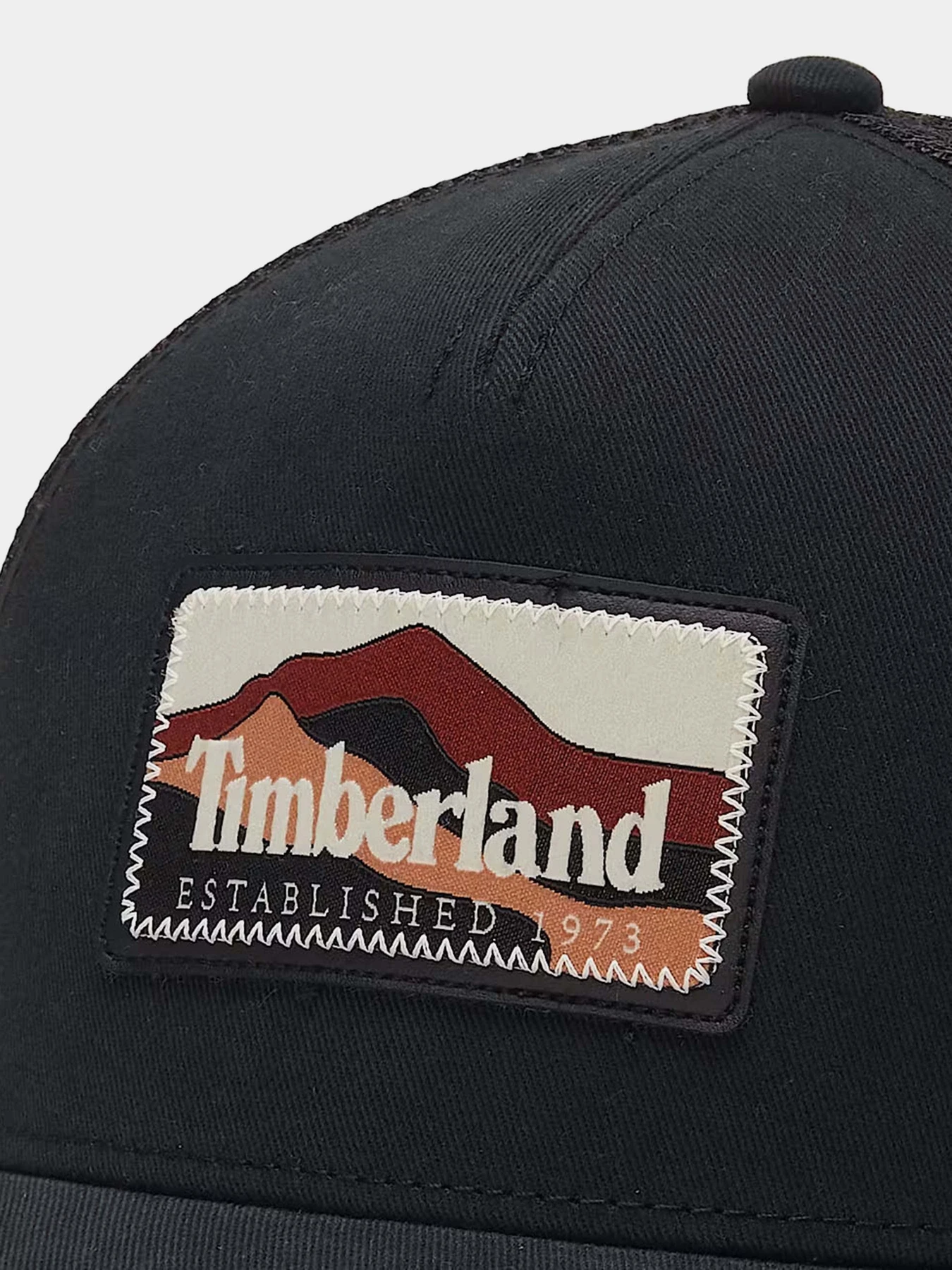 Шапки и кепки Timberland Mountain Patch Trucker модель TB0A61X2001 Фото