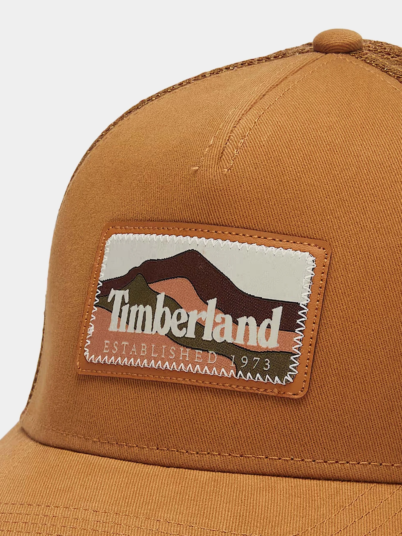 Шапки и кепки Timberland Mountain Patch Trucker модель TB0A61X2231 Фото