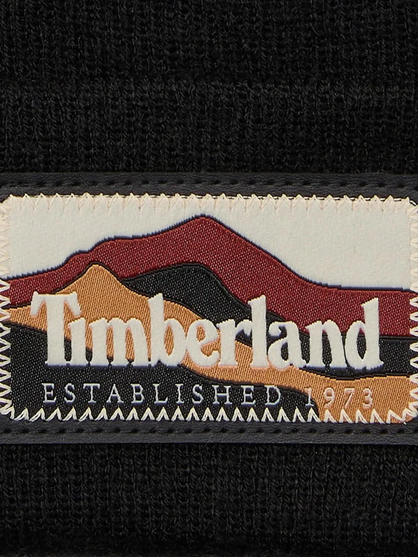 Шапки и кепки Timberland модель TB0A663T001 Шапки и кепки Timberland модель TB0A663T001 Фото
