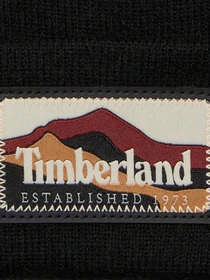 Шапки и кепки Timberland модель TB0A663T001 Фото