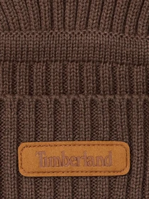 Шапки та кепки Timberland модель TB0A665P243 Фото