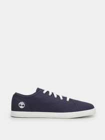 Кеды Timberland Skape Park модель TB0A2KG7019 Фото