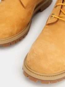 Черевики та чоботи Timberland Premium 6 модель TB0A5SY6231 Фото
