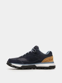 Кроссовки Timberland Trail Trekker Low GTX модель TB0A65KV019 Фото