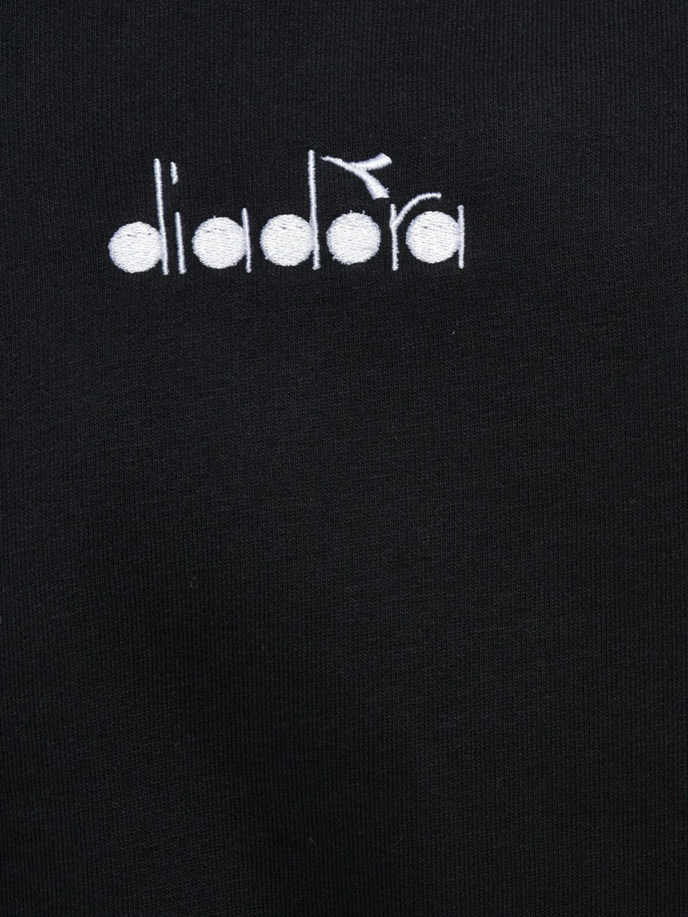 Худи и свитшоты DIADORA FZ SWEAT CORE модель 102.176448.80013 Фото