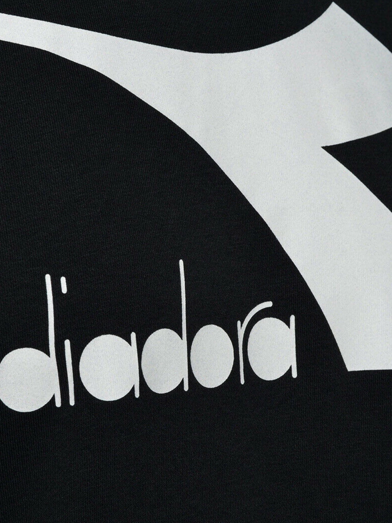 Худи и свитшоты DIADORA CHROMIA модель 102.176451.80013 Фото