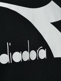 Худи и свитшоты DIADORA CHROMIA модель 102.176451.80013 Фото