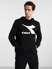 Худи и свитшоты DIADORA CHROMIA модель 102.176451.80013 Фото
