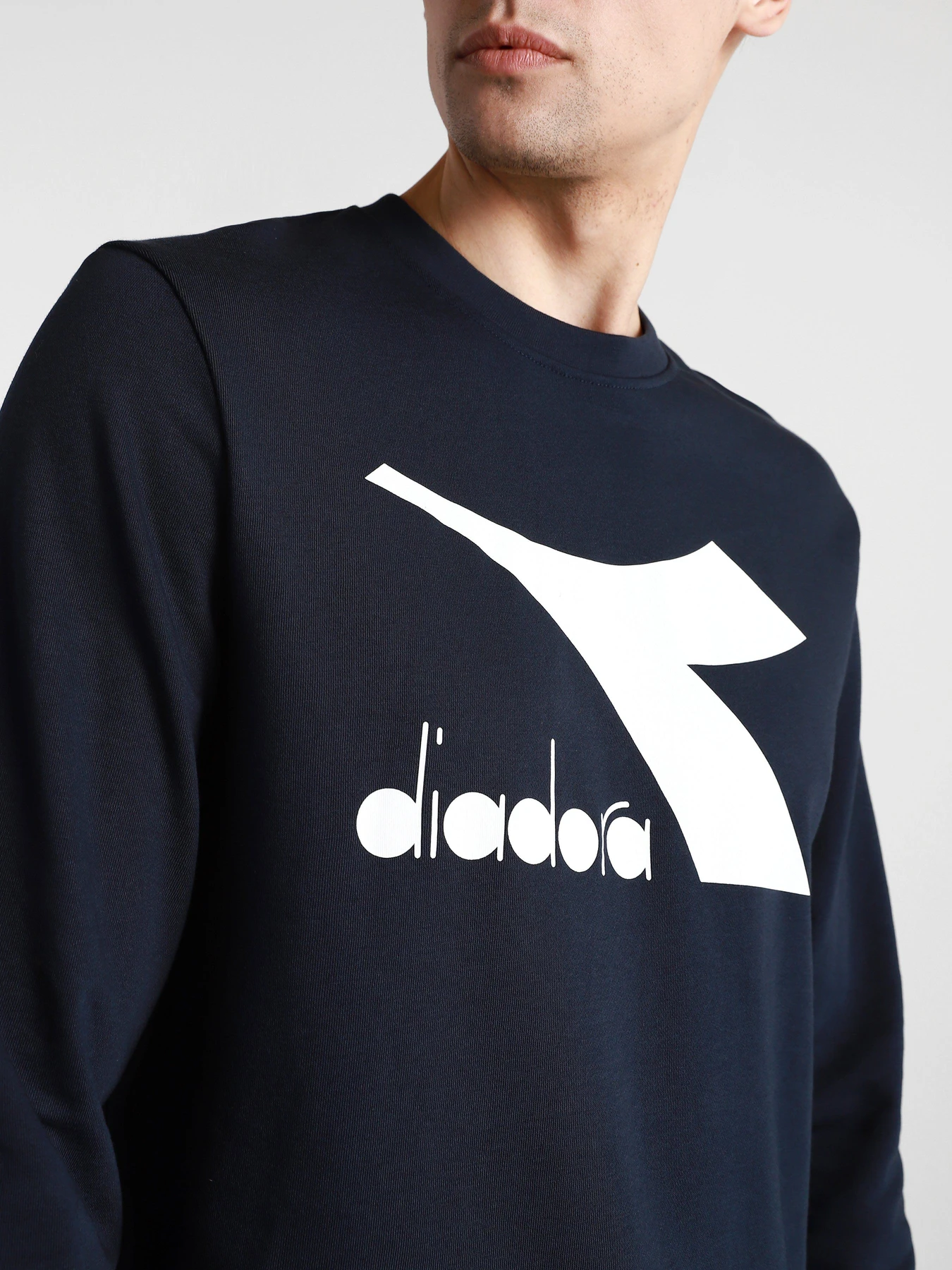Худи и свитшоты DIADORA CREW LOGO CHROMIA модель 102.176453.60063 Фото
