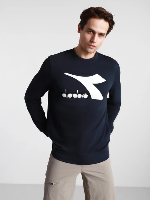 Худи и свитшоты DIADORA CREW LOGO CHROMIA модель 102.176453.60063 Фото