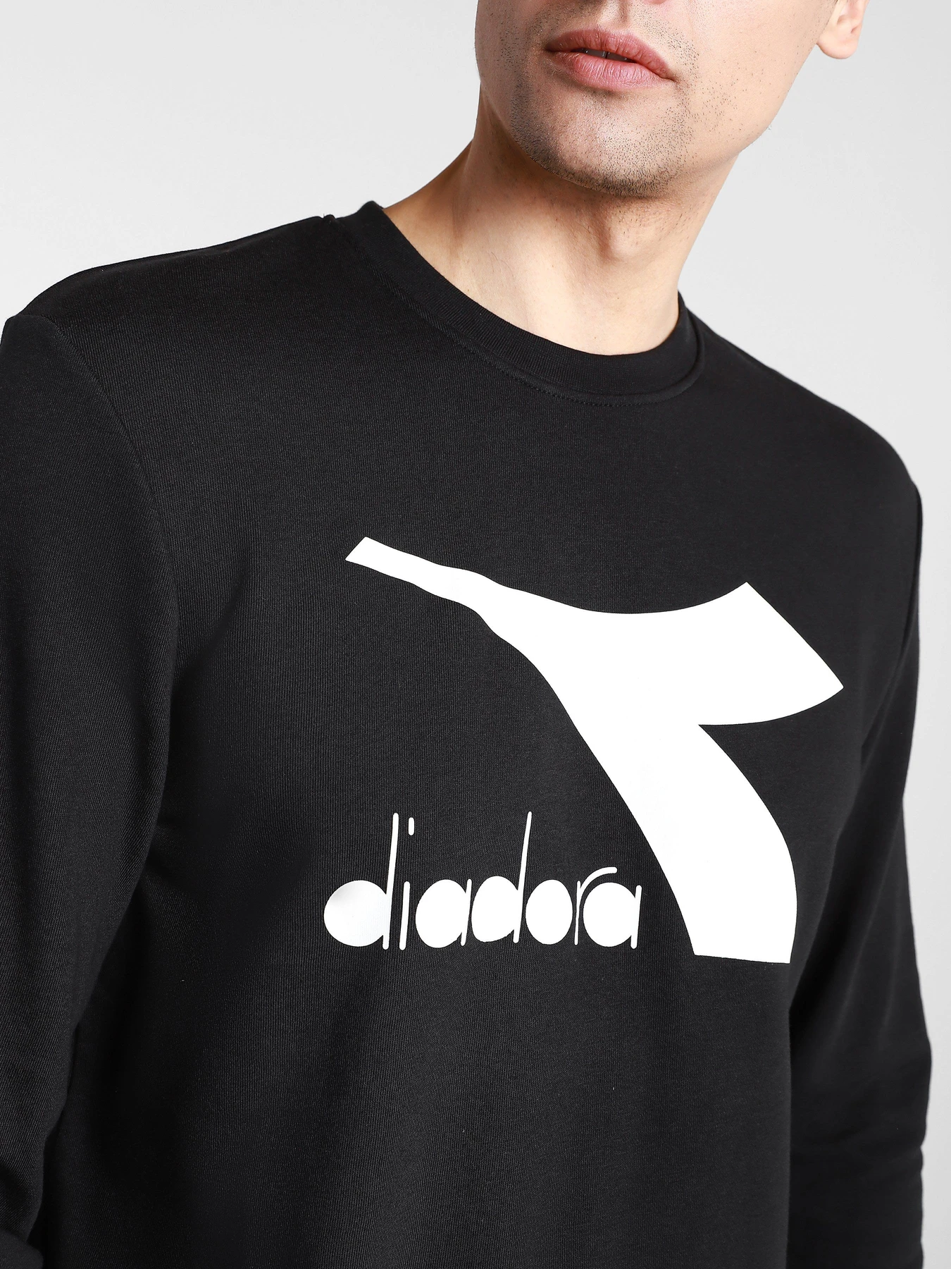 Худі та світшоти DIADORA CREW LOGO CHROMIA модель 102.176453.80013 Фото