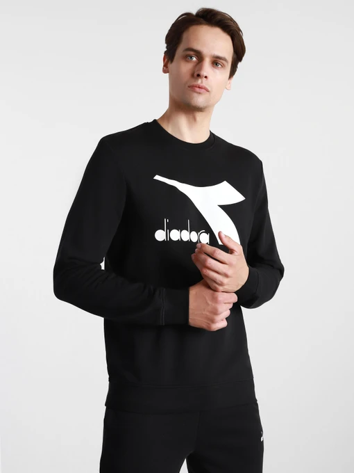 Худи и свитшоты DIADORA CREW LOGO CHROMIA модель 102.176453.80013 Фото