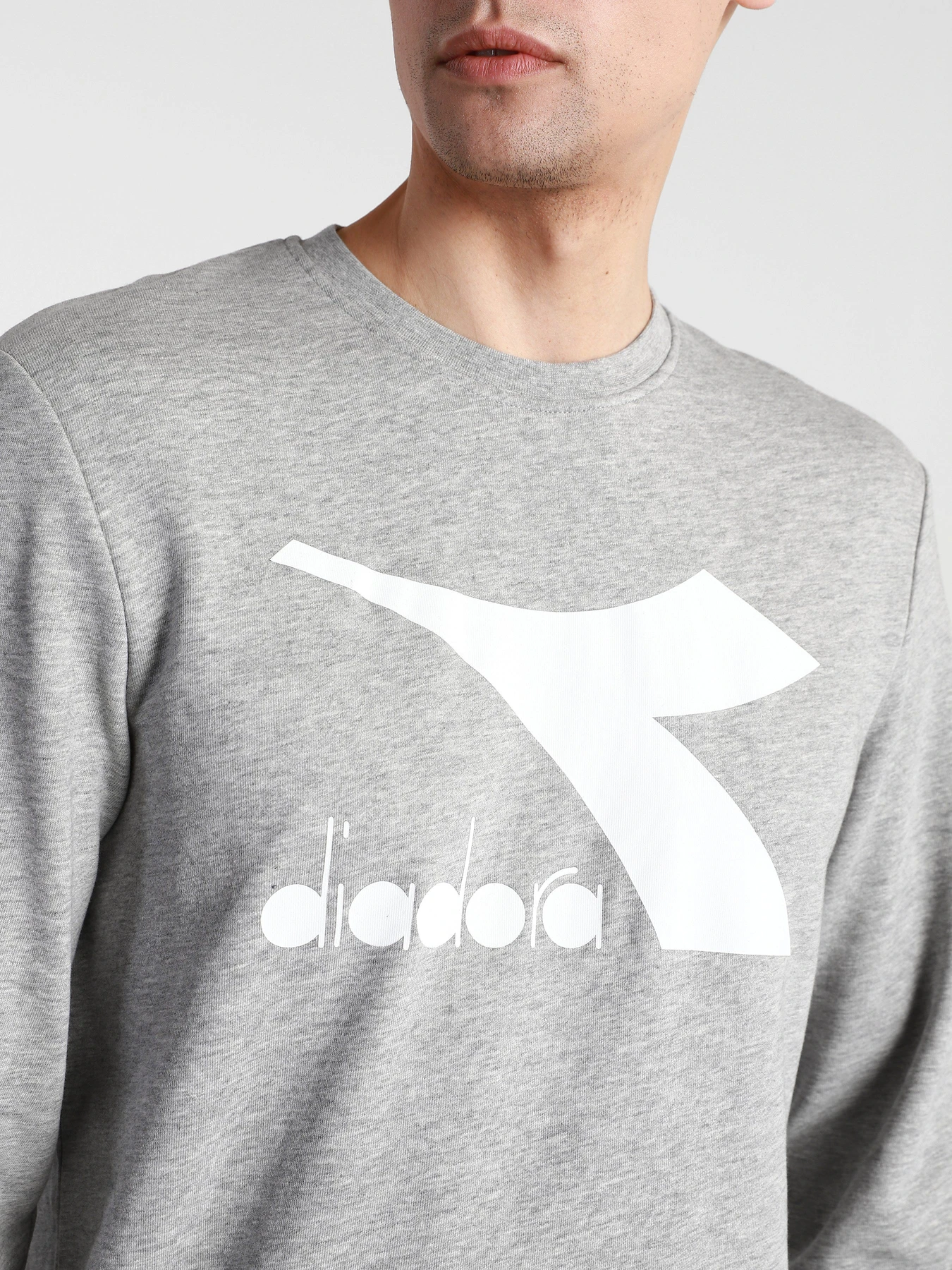 Худи и свитшоты DIADORA CREW LOGO CHROMIA модель 102.176453.C5493 Фото