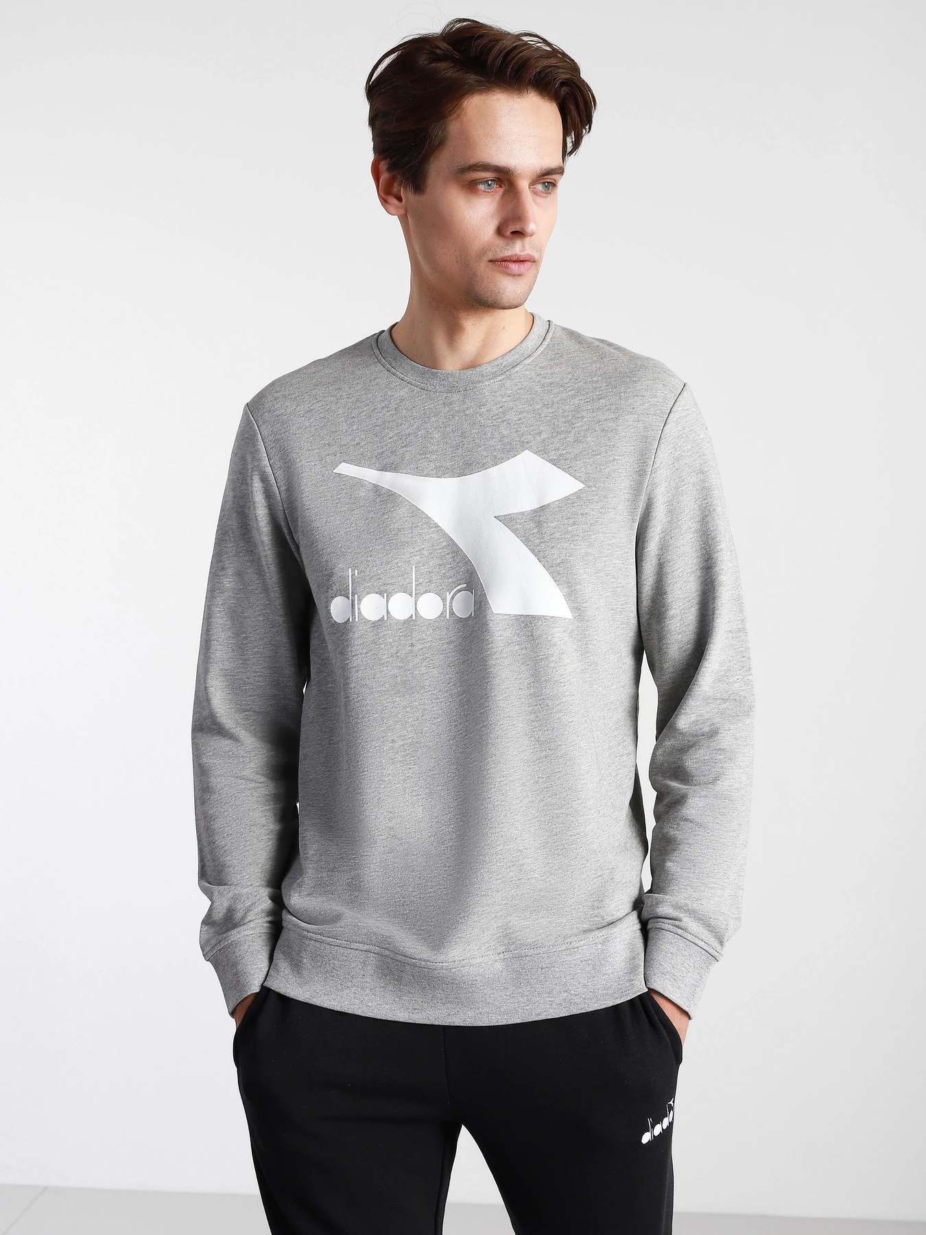 Худи и свитшоты DIADORA CREW LOGO CHROMIA модель 102.176453.C5493 Фото