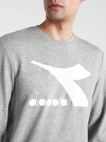 Худи и свитшоты DIADORA CREW LOGO CHROMIA модель 102.176453.C5493 Фото