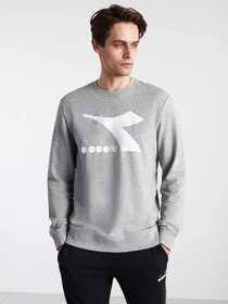 Худи и свитшоты DIADORA CREW LOGO CHROMIA модель 102.176453.C5493 Фото