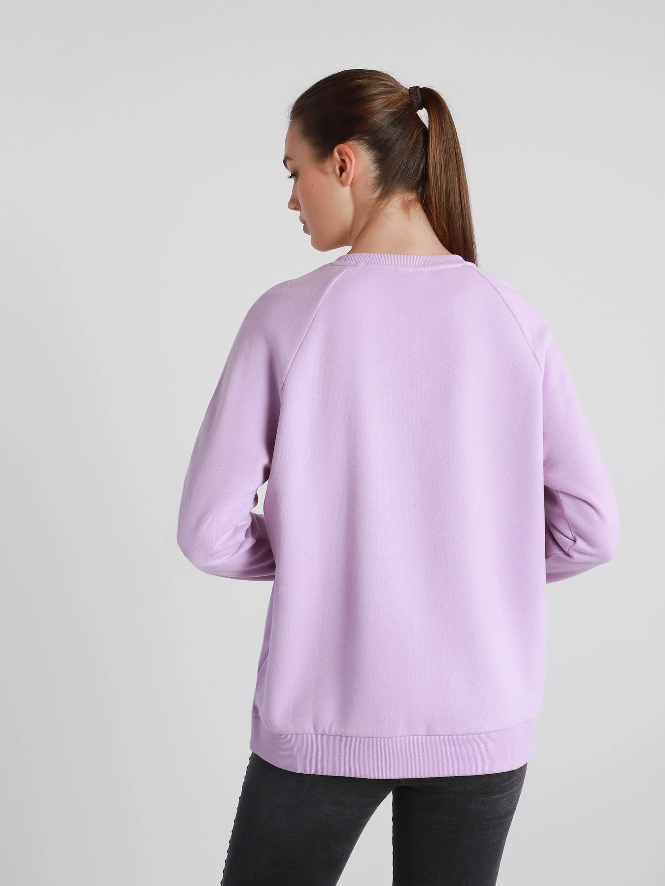 Худи и свитшоты DIADORA L. SWEATSHIRT CREW CHROMIA модель 102.176480.55195 Фото