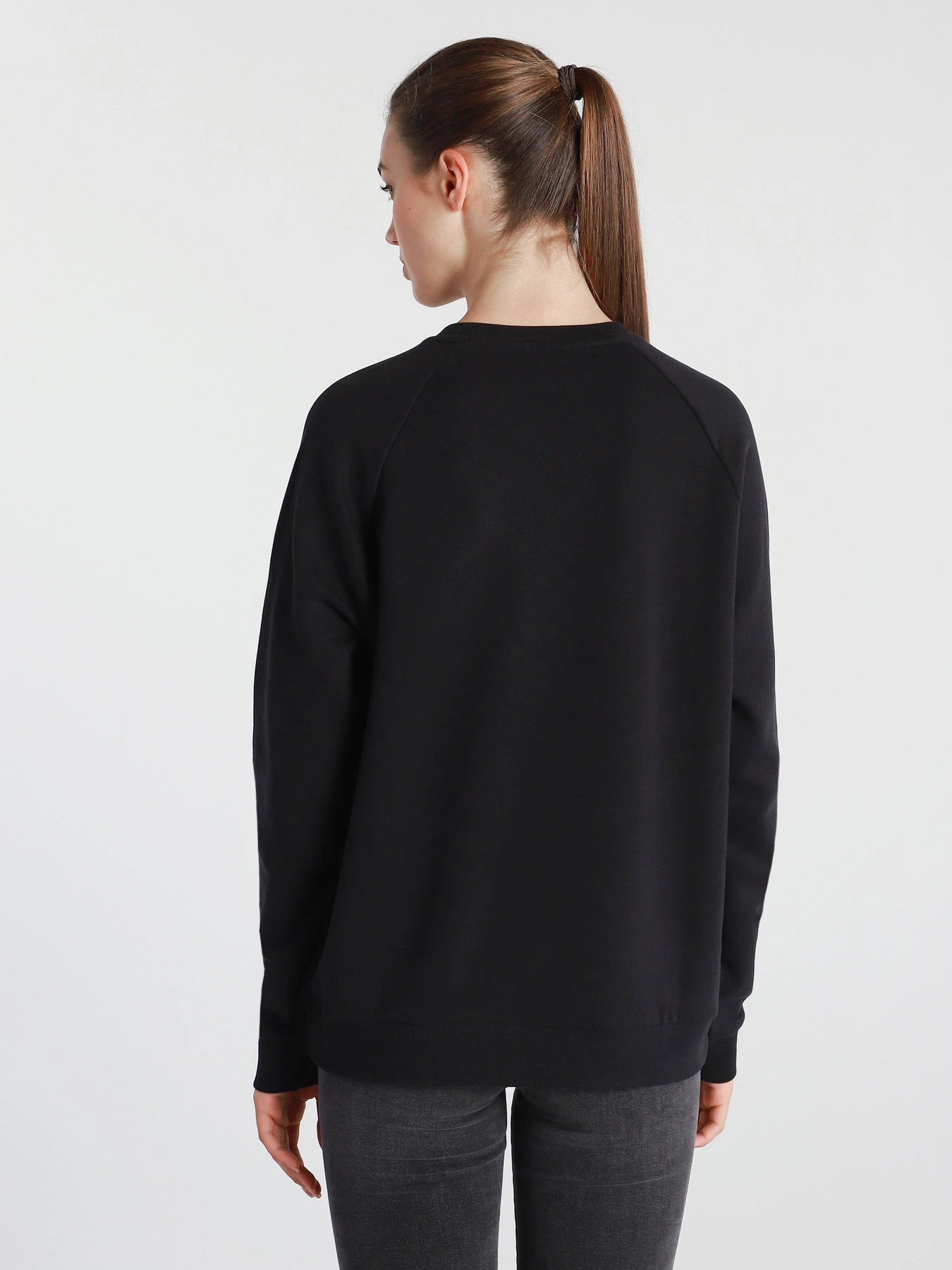 Худи и свитшоты DIADORA L. SWEATSHIRT CREW CHROMIA модель 102.176480.80013 Фото