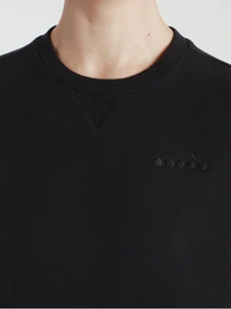 Худи и свитшоты DIADORA L. SWEATSHIRT CREW CHROMIA модель 102.176480.80013 Фото