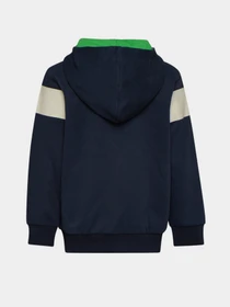 Худи и свитшоты DIADORA JB.HOODIE FZ 5PALLE модель 102.176495.60063 Фото