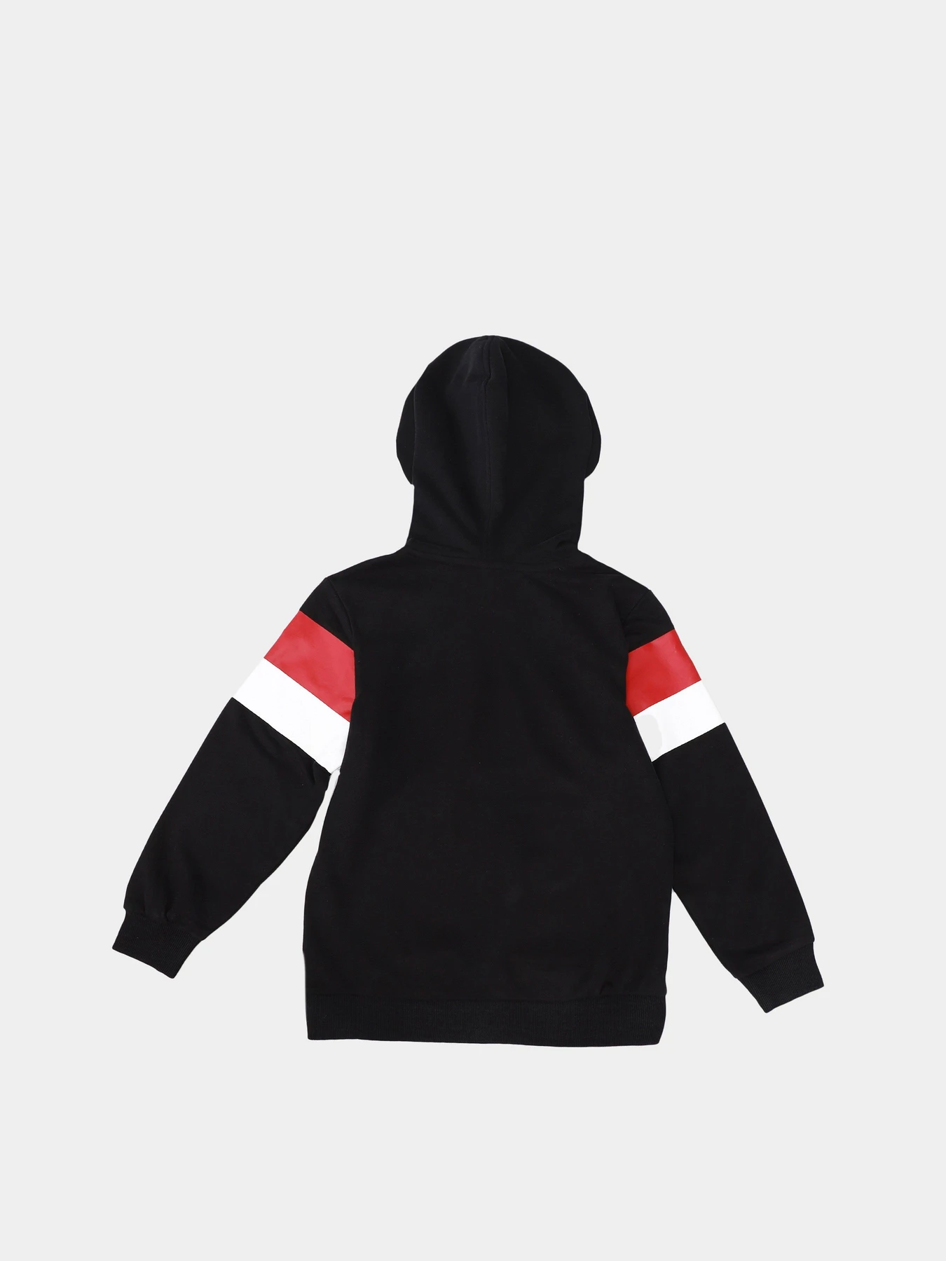 Худи и свитшоты DIADORA JB.HOODIE SWEAT 5PALLE модель 102.176496.80013 Фото