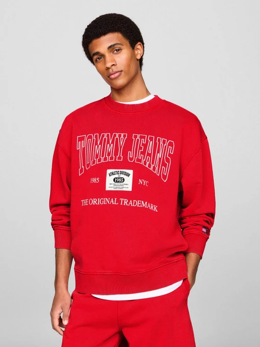 Худі та світшоти Tommy Jeans модель DM0DM19219-XNL Фото
