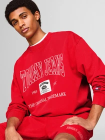 Худи и свитшоты Tommy Jeans модель DM0DM19219-XNL Фото