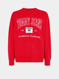 Худи и свитшоты Tommy Jeans модель DM0DM19219-XNL Фото