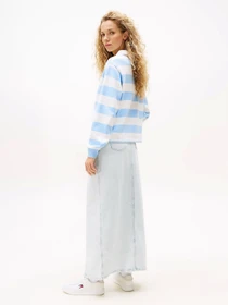 Худі та світшоти Tommy Jeans модель DW0DW20948-C1T Фото
