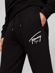 Брюки Tommy Jeans модель DM0DM19479-BDS Фото