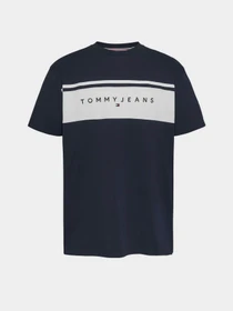 Футболки и поло Tommy Jeans модель DM0DM18658-C1G Фото
