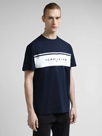 Футболки и поло Tommy Jeans модель DM0DM18658-C1G Фото