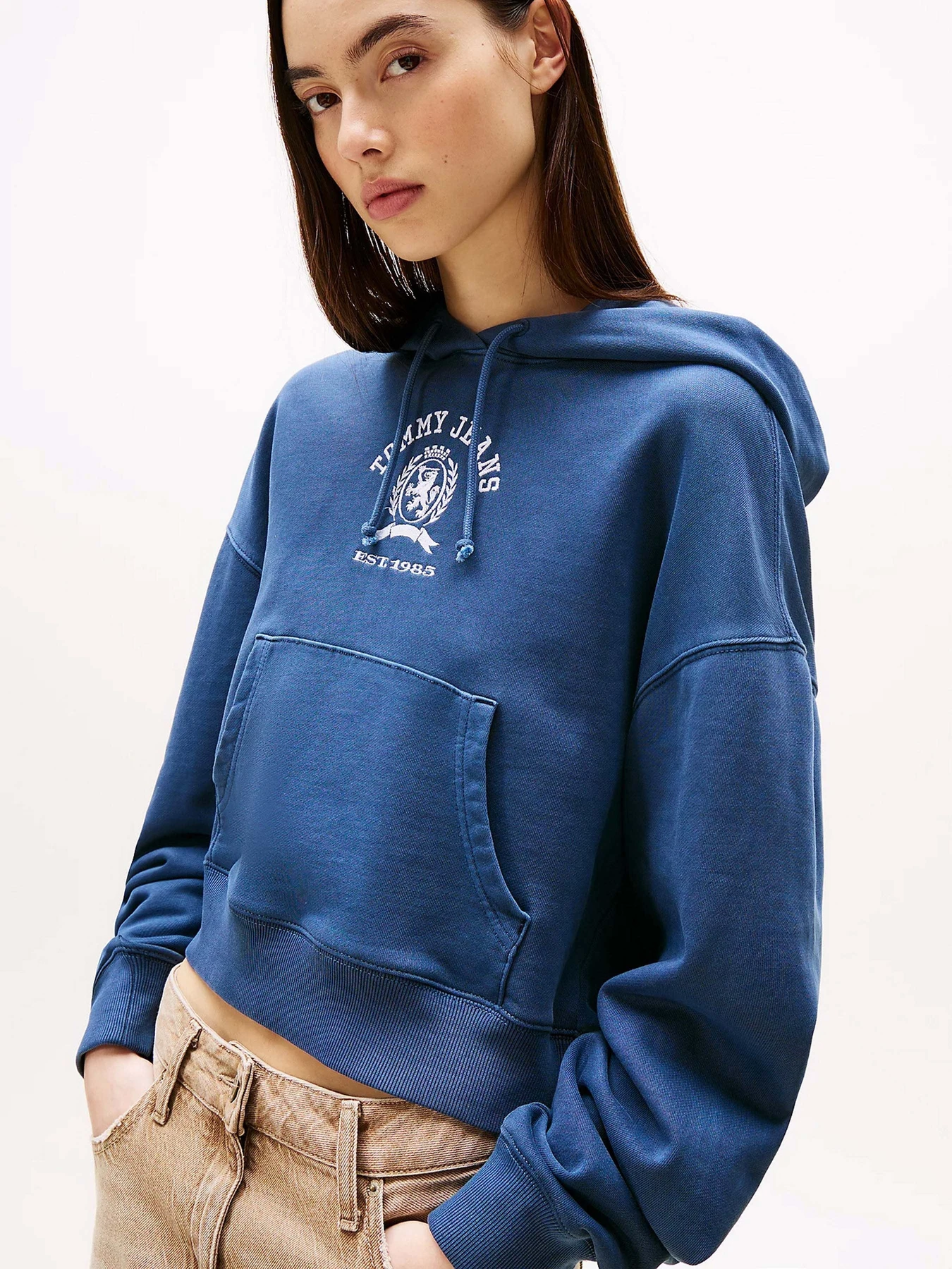 Худи и свитшоты Tommy Jeans модель DW0DW20311-C1G Худи и свитшоты Tommy Jeans модель DW0DW20311-C1G Фото
