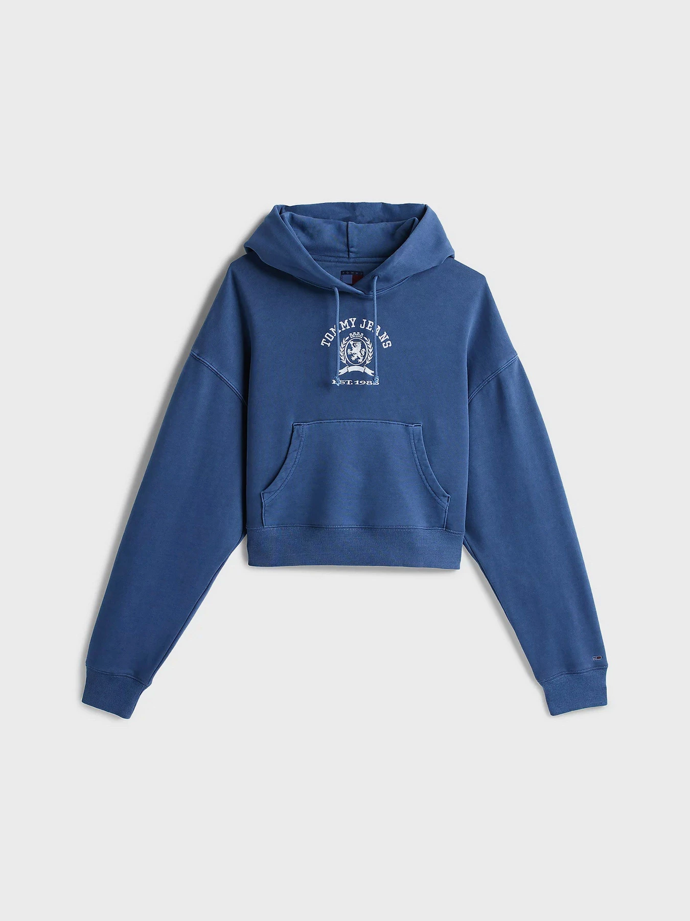 Худи и свитшоты Tommy Jeans модель DW0DW20311-C1G Худи и свитшоты Tommy Jeans модель DW0DW20311-C1G Фото