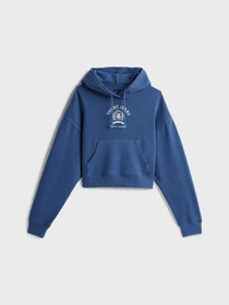 Худи и свитшоты Tommy Jeans модель DW0DW20311-C1G Фото