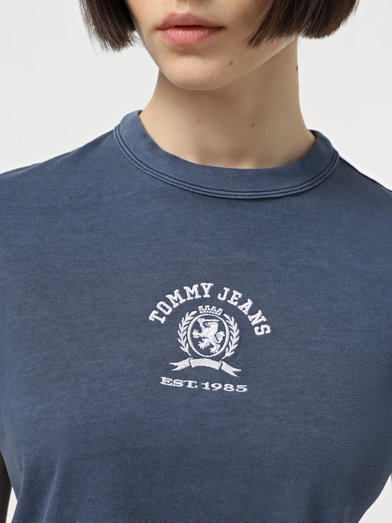 Футболки і поло Tommy Jeans модель DW0DW20317-C1G Футболки і поло Tommy Jeans модель DW0DW20317-C1G Фото