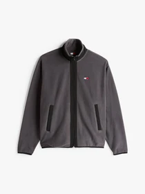 Худи и свитшоты Tommy Jeans модель DM0DM20833-PT2 Фото