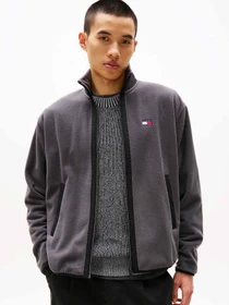 Худи и свитшоты Tommy Jeans модель DM0DM20833-PT2 Фото