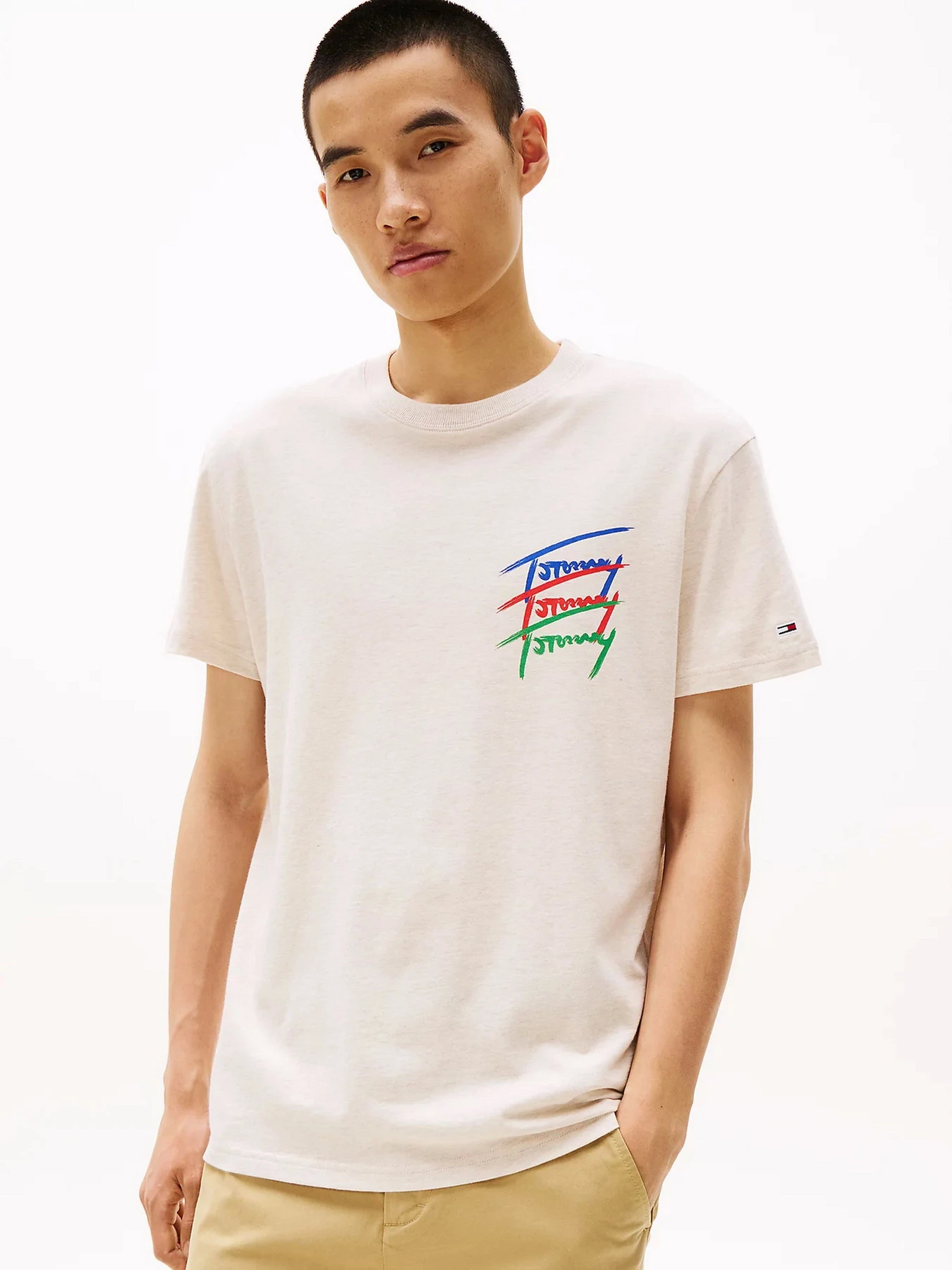 Футболки и поло Tommy Jeans модель DM0DM20771-AE3 Футболки и поло Tommy Jeans модель DM0DM20771-AE3 Фото