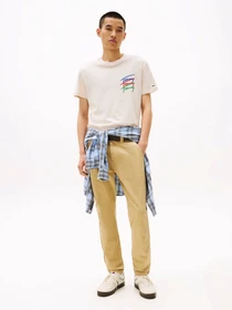 Футболки и поло Tommy Jeans модель DM0DM20771-AE3 Фото