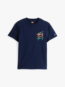 Футболки і поло Tommy Jeans модель DM0DM20771-C1G Фото