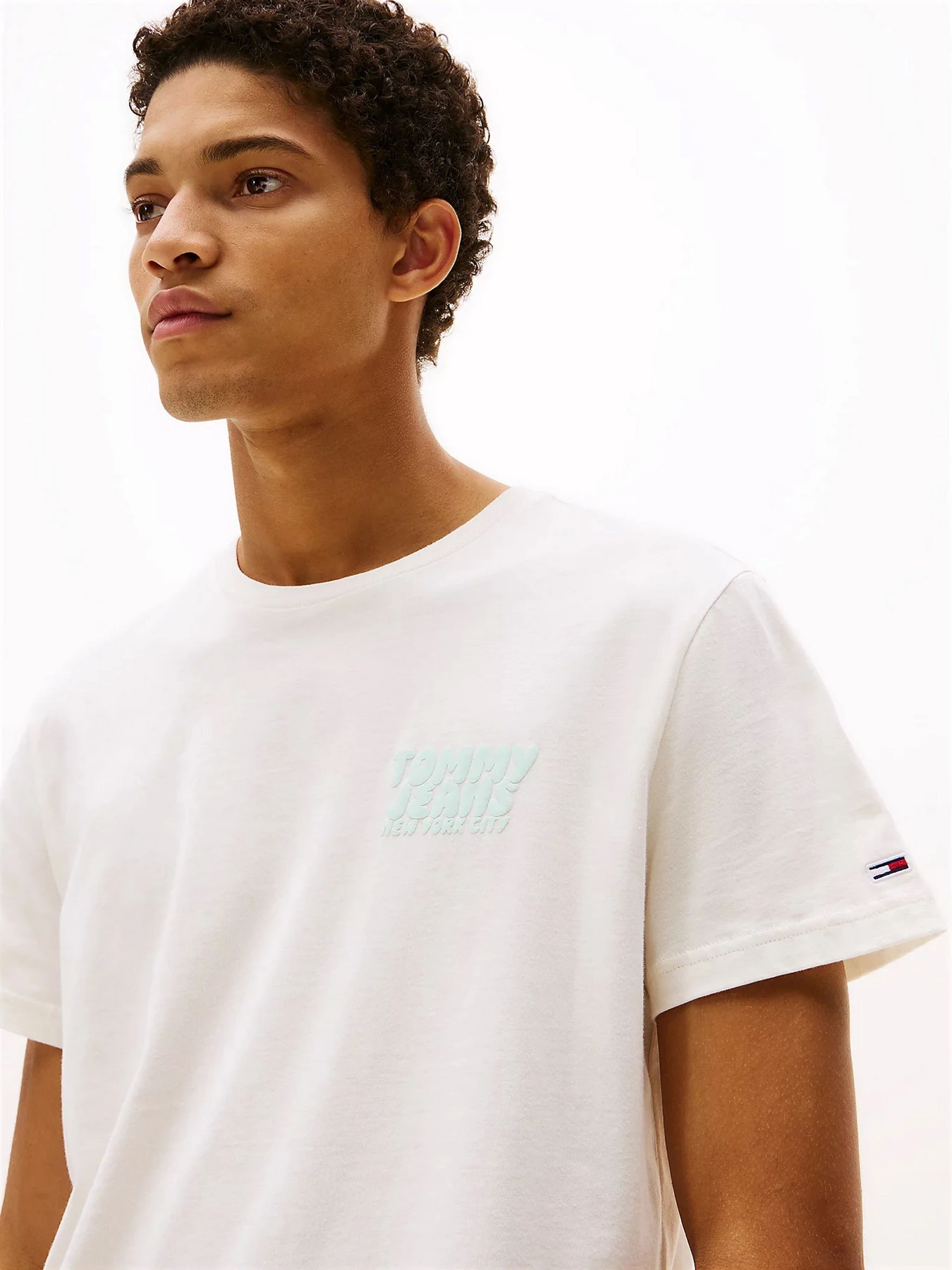 Футболки и поло Tommy Jeans модель DM0DM21863-YBH Футболки и поло Tommy Jeans модель DM0DM21863-YBH Фото
