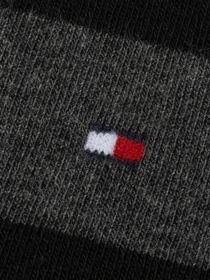Носки и гольфы Tommy Hilfiger Rugby Sock 2P модель 342021001200 Фото
