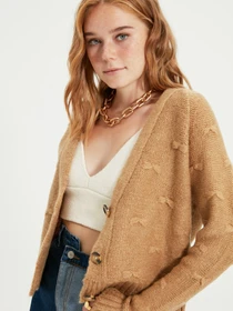 Свитры и кардиганы Trendyol модель TWOAW22HI0543/Camel Фото