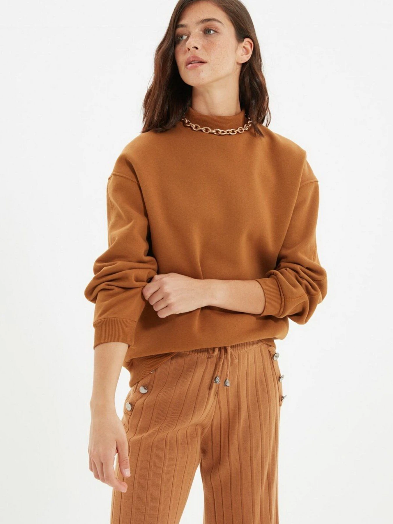 Худи и свитшоты Trendyol модель TWOAW20SW0584/Acik Kahverengi Худи и свитшоты Trendyol модель TWOAW20SW0584/Acik Kahverengi Фото