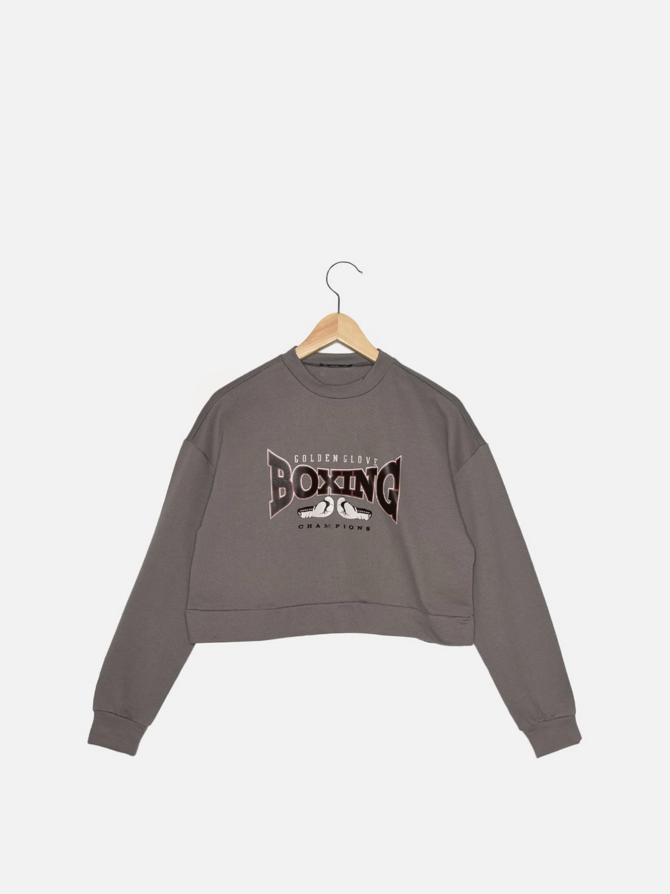 Худи и свитшоты Trendyol модель TWOAW22SW1080/Gri Худи и свитшоты Trendyol модель TWOAW22SW1080/Gri Фото
