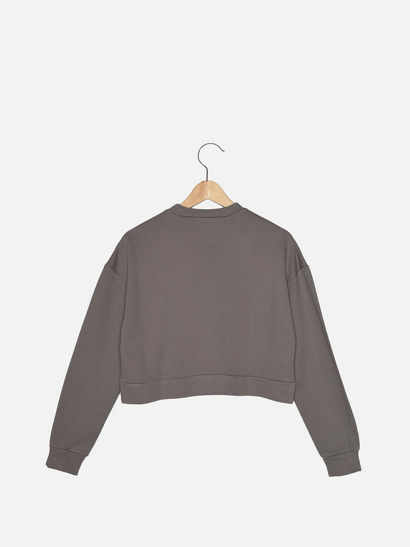 Худи и свитшоты Trendyol модель TWOAW22SW1080/Gri Худи и свитшоты Trendyol модель TWOAW22SW1080/Gri Фото
